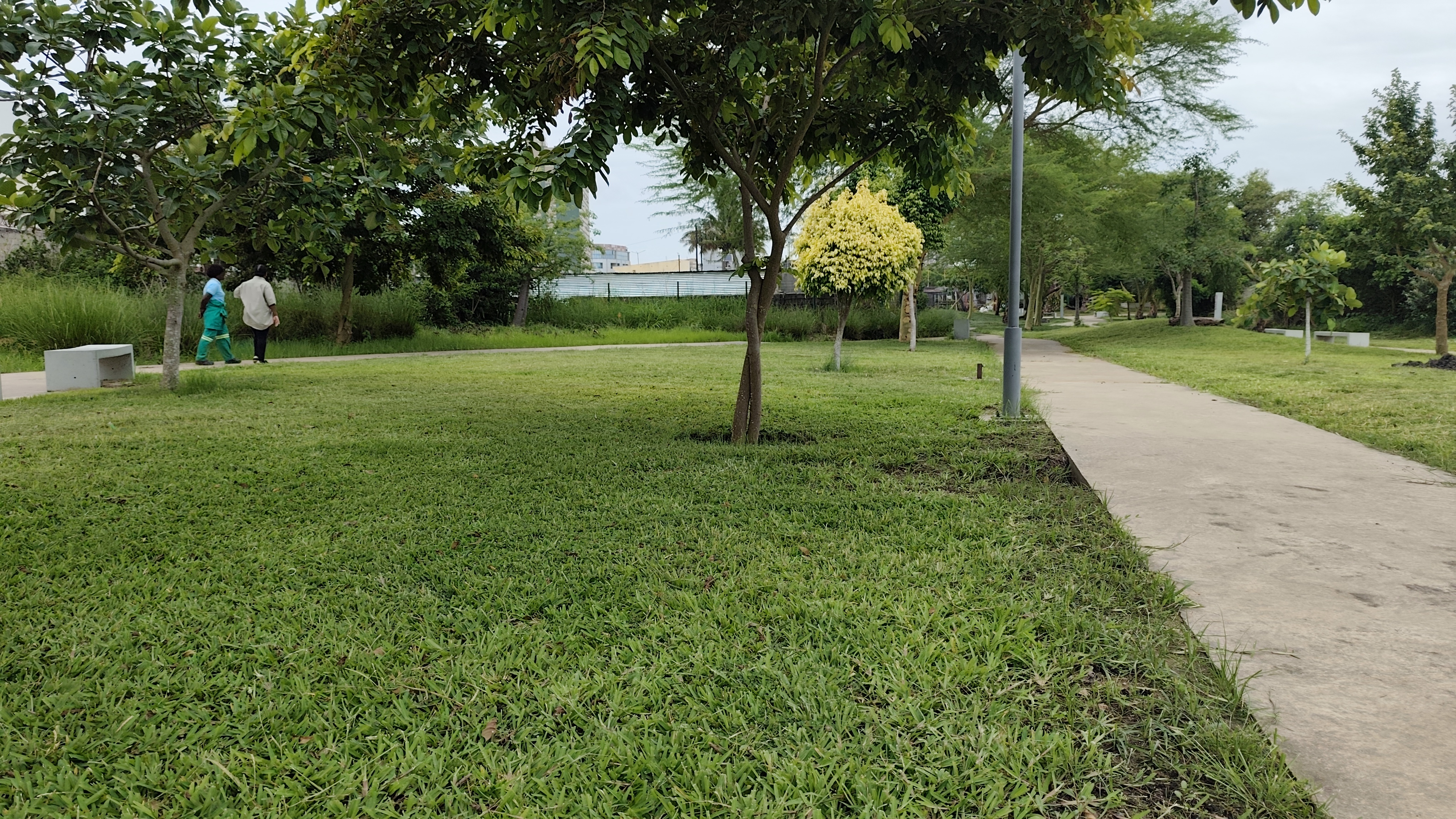 Infraestruturas Verdes da Beira solução climática vira atracção turística